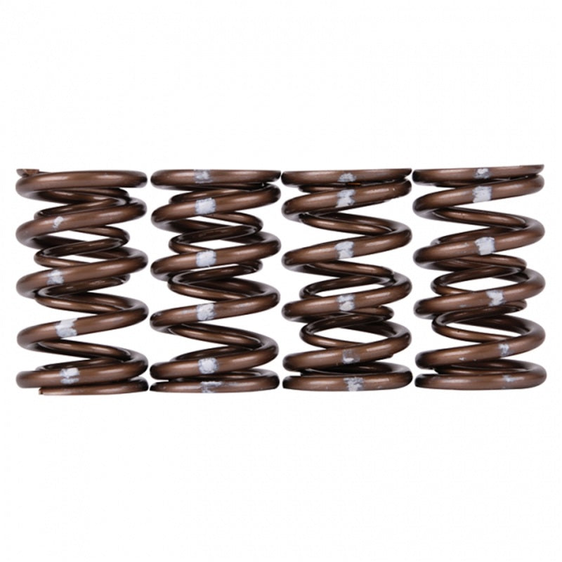 Skunk2 Pro Series Honda/Acura B-Series VTEC XP Valve Spring Set (Dual Springs) Valve Springs, Retainers Skunk2 Racing