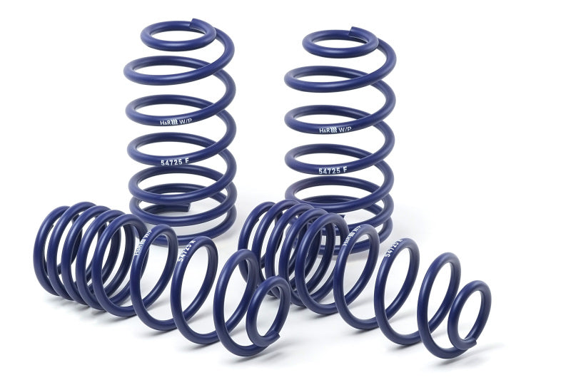 H&R 11-14 Dodge Charger RT (AWD) Max/Plus V8 Sport Spring Lowering Springs H&R