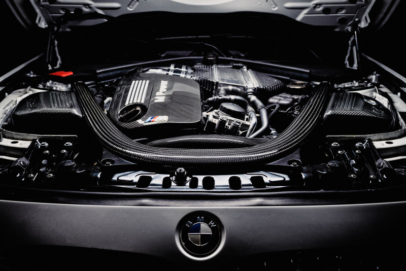 AMS Performance 15-18 BMW M3 / 15-20 BMW M4 w/ S55 3.0L Turbo Engine Carbon Fiber Intake Short Ram Air Intakes AMS