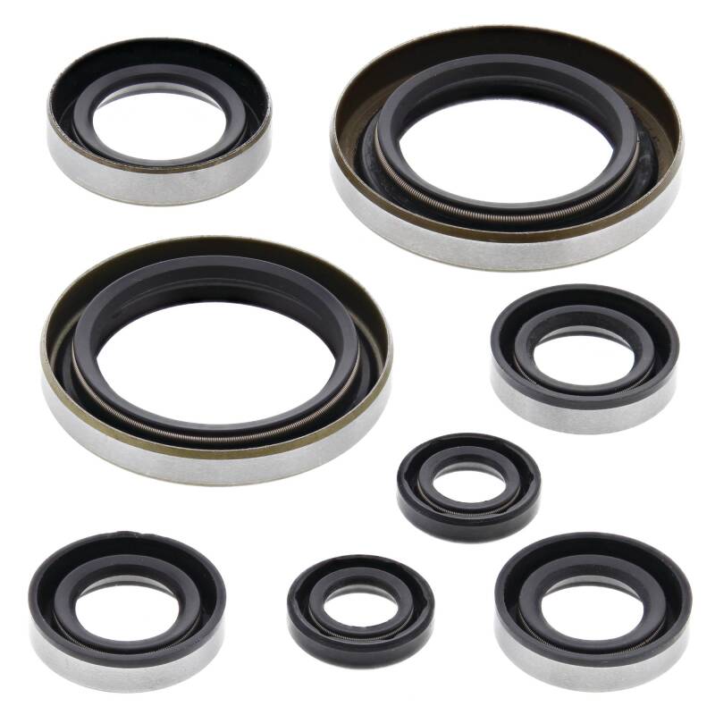 Vertex Gaskets 02-05 KTM EXC-G 250 Racing Oil Seal Kit Engine Hardware Vertex Pistons