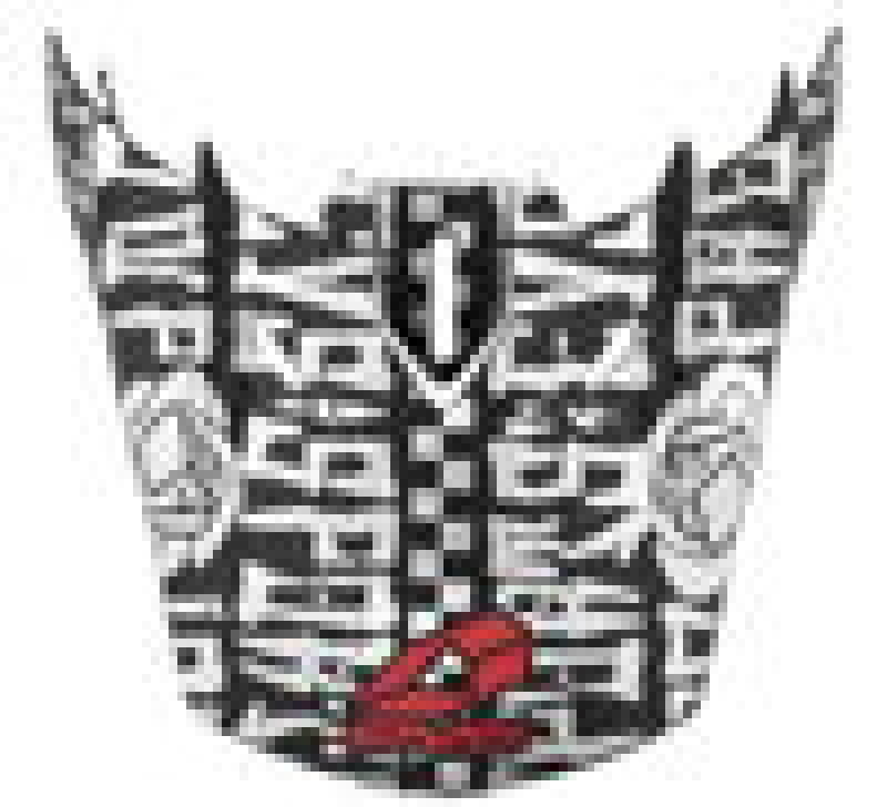 EVS T5 Evilution Visor - Titanium Helmets and Accessories EVS