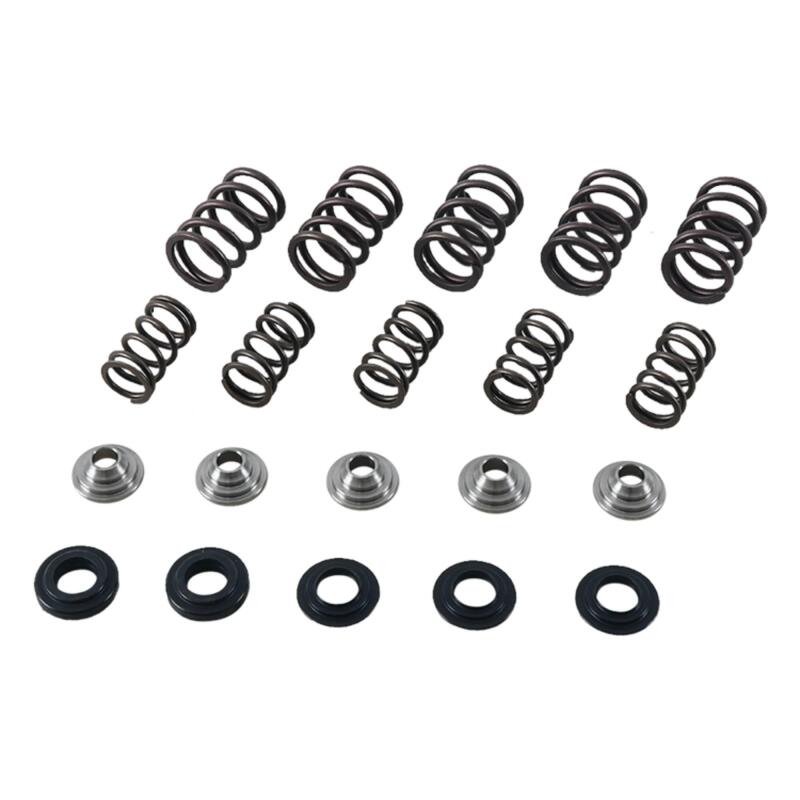 Hot Cams 01-05 YFM 660 R Raptor Valve Spring Kit Valves Hot Cams