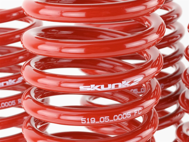 Skunk2 94-01 Acura Integra Lowering Springs (2.50in - 2.25in.) (Set of 4) Lowering Springs Skunk2 Racing