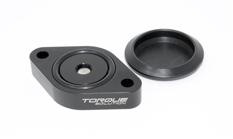 Torque Solution Sound Symposer Delete 2013+ Ford Focus ST Block Off Plates Torque Solution