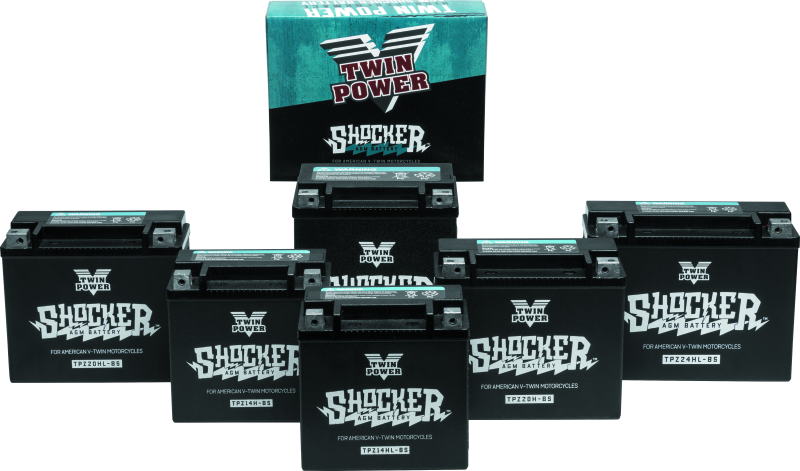 Twin Power YTX-14 Shocker Battery Replaces H-D 65948-00 220 CCA Batteries TwinPower