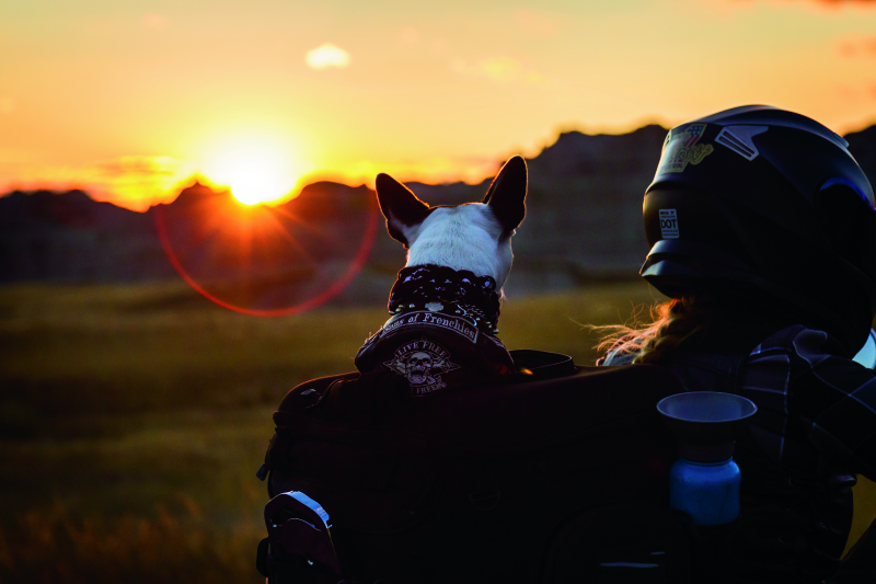 Kuryakyn Grand Pet Palace Cargo Boxes & Bags Kuryakyn