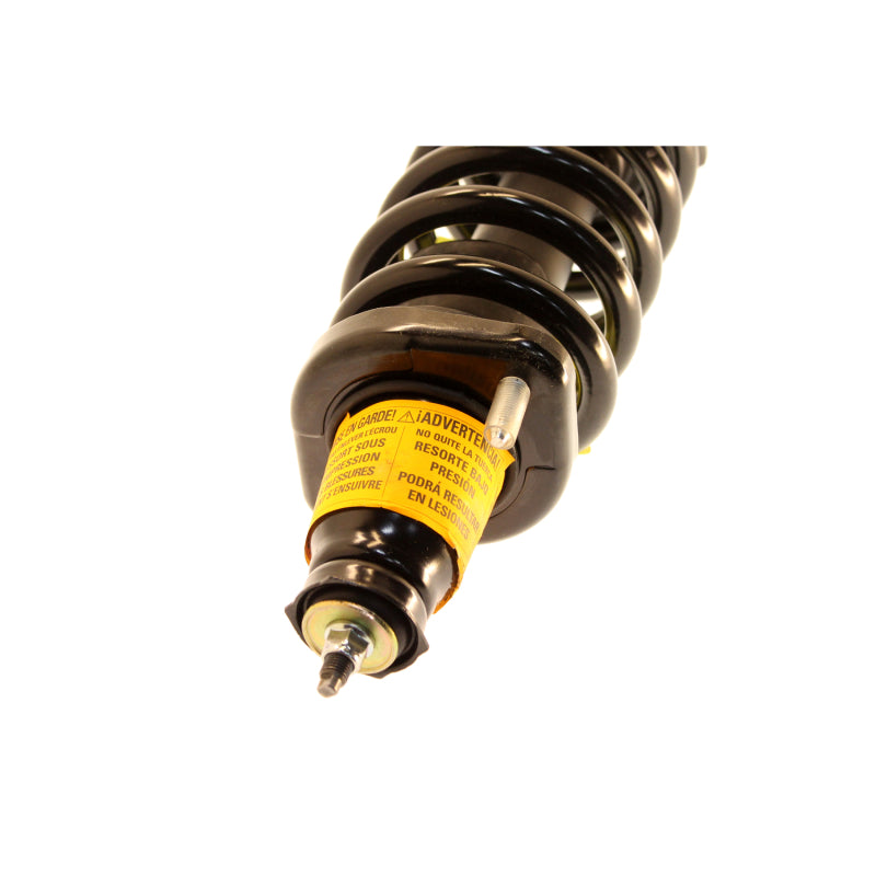 KYB Shocks & Struts Strut Plus Rear Left HONDA CR-V 2004-2002 Shock & Spring Kits KYB