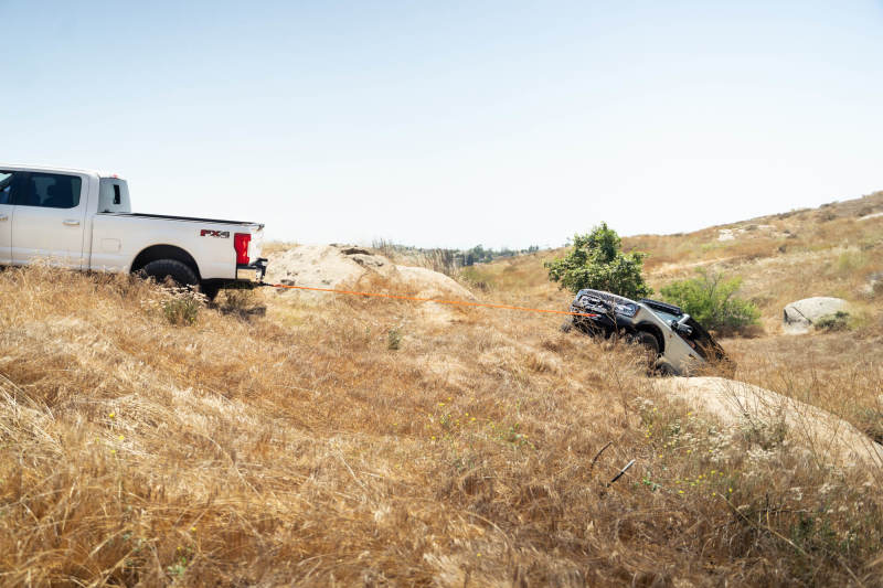 DV8 Offroad Elite Series D-Ring Shackles - Pair (Black) Bumper Accessories DV8 Offroad