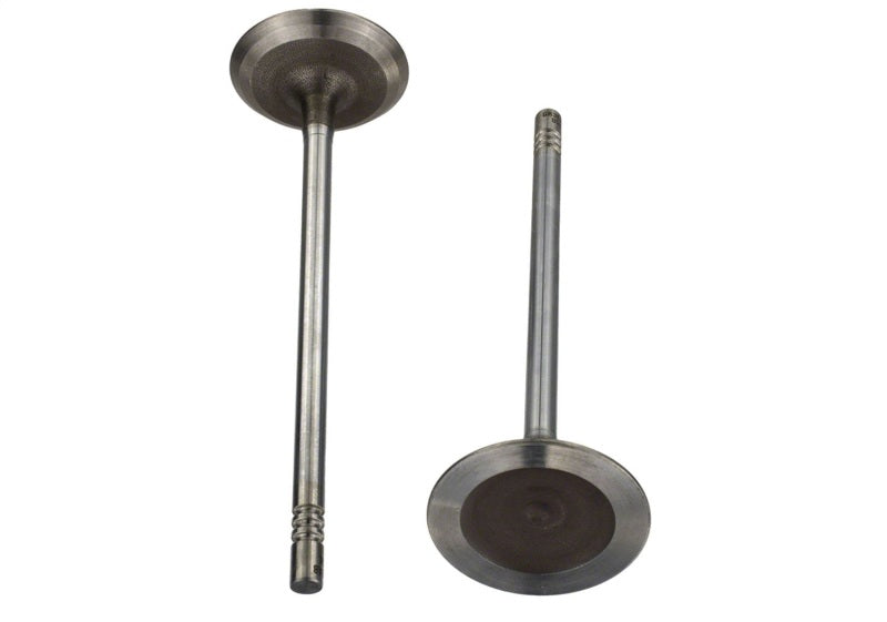 Ford Racing Coyote 5.2L Lightweight Intake Valve - Set of 8 Valves Ford Racing