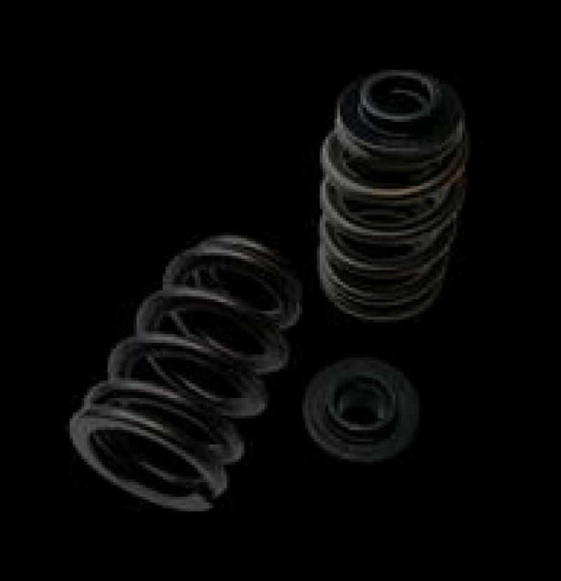 Brian Crower Polaris XP1000/XPTurbo/XP900 Dual Spring/Titanium Retainer/Seat Kit Valve Springs, Retainers Brian Crower