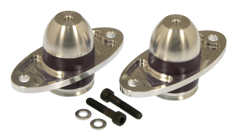 Prothane 05-06 Ford Mustang Bullet Motor Mounts - Black Bushing Kits Prothane