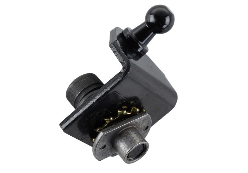 Ford Racing 15-23 Ford Mustang Hood Lift Kit w/Laser Engraving Ford Logo (Excl GT350/GT350R) Hood Struts Ford Racing