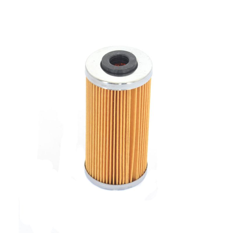 Athena 09-10 BMW G 450 X 450 Oil Filter Oil Filters Athena