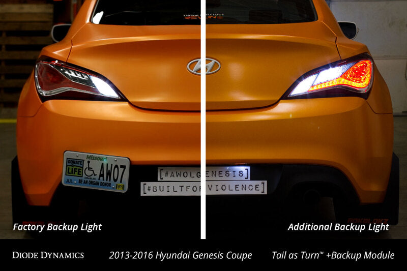 Diode Dynamics 13-16 Hyundai Genesis Coupe Tail as Turn +Backup Module (USDM) Stage 2 Light Accessories and Wiring Diode Dynamics
