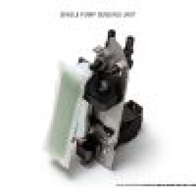 AMS Performance 2009+ Nissan GT-R R35 Omega Fuel System - Dual Pumps Fuel Pumps AMS