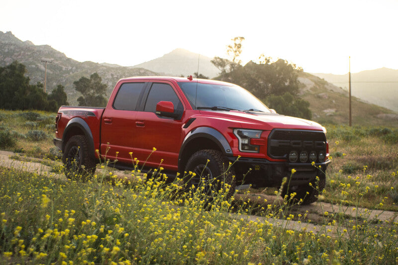 DV8 Offroad Ford 17-20 Ford F-150 Raptor Tube Front Bumper Bumpers - Steel DV8 Offroad