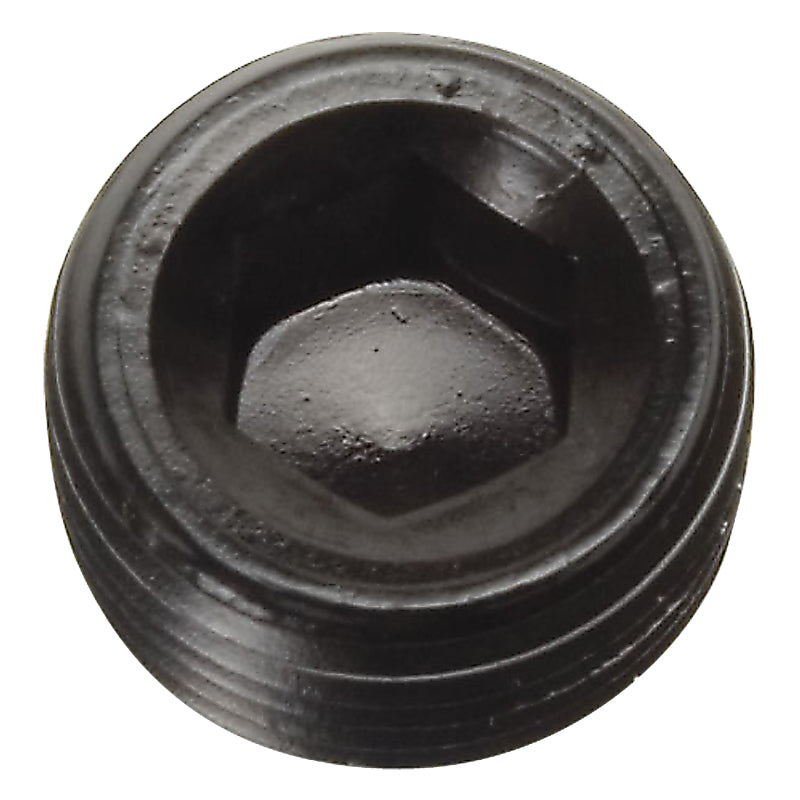 Russell Performance 1/4in Allen Socket Pipe Plug (Black) Fittings Russell