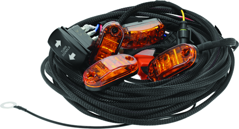 DragonFire Racing Whip Harness - 4 Seat- Dual Wiring Harnesses DragonFire Racing