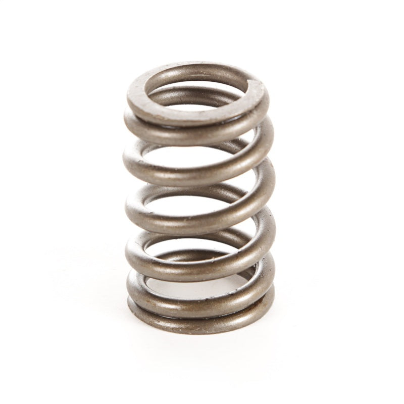Omix Valve Spring- 87-97 YJ/XJ/MJ/ZJ/SJ Valves OMIX