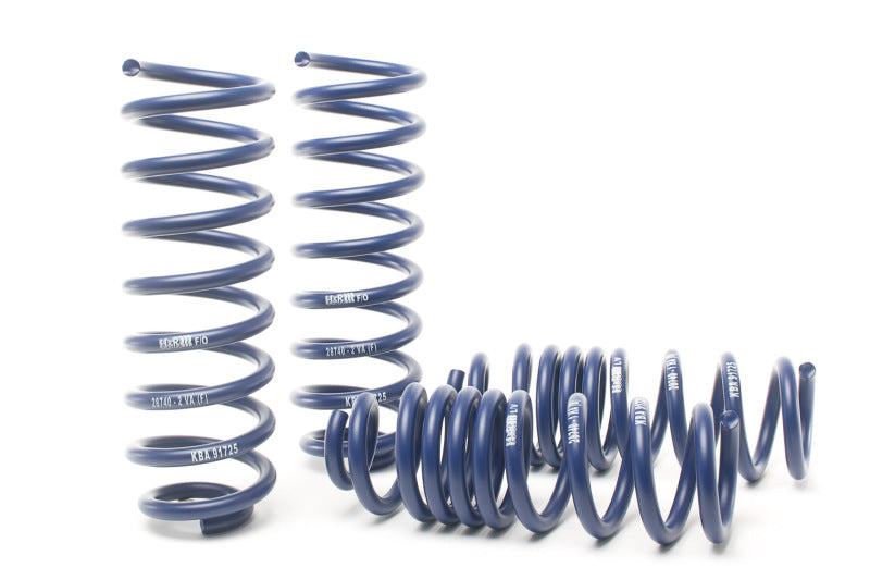 H&amp;R 17-18 Mercedes-Benz E400 4MATIC Coupe/E400 Coupe C238 Sport Spring (Incl Agility Control) RW Lowering Springs H&R