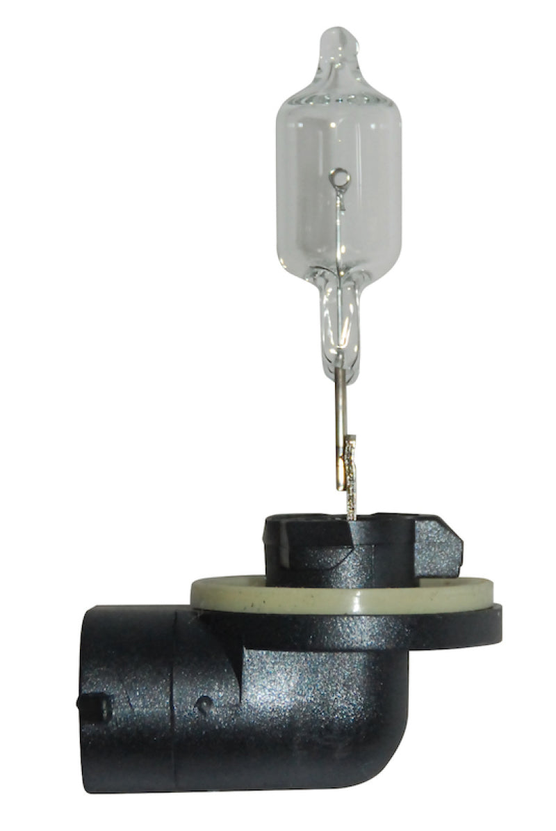 Hella Bulb 888 12V 50W PGJ13 T3.25 Bulbs Hella