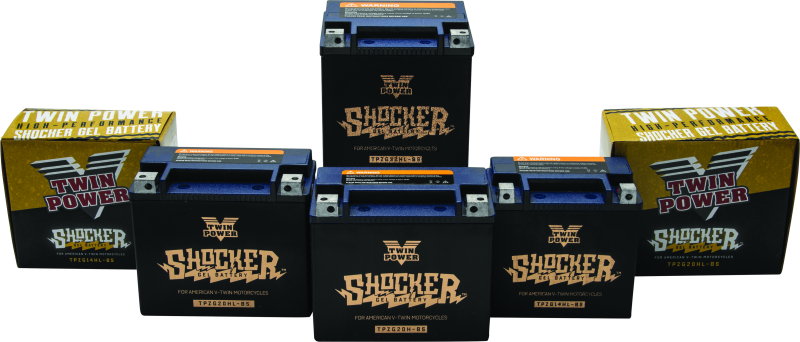 Twin Power YTX-14L Shocker Gel Battery Replaces H-D 65958-04 220 CCA Batteries TwinPower