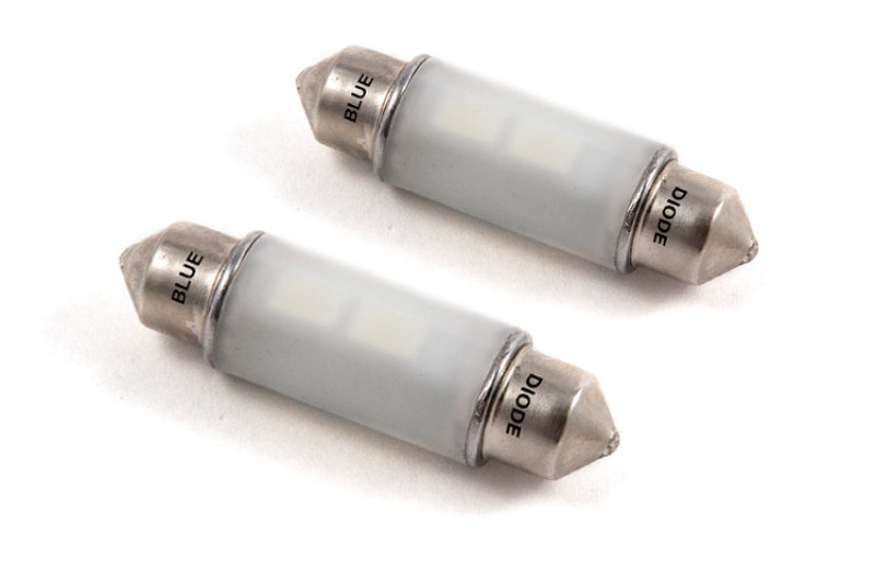 Diode Dynamics 39mm HP6 LED Bulb LED - Blue (Pair) Bulbs Diode Dynamics