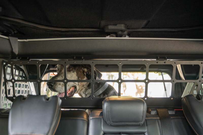 DV8 Offroad 2021-2024 Ford Bronco Dog Barrier Exterior Trim DV8 Offroad