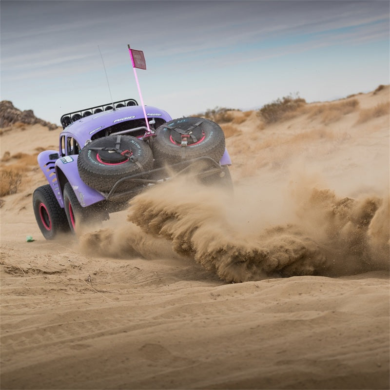 Rigid Industries x SHREDDY 360-Series 4in Lights w/Wt Bcklght (2) + 6 Covers (2 Pink/2 Teal/2 Blk) Light Bars & Cubes Rigid Industries