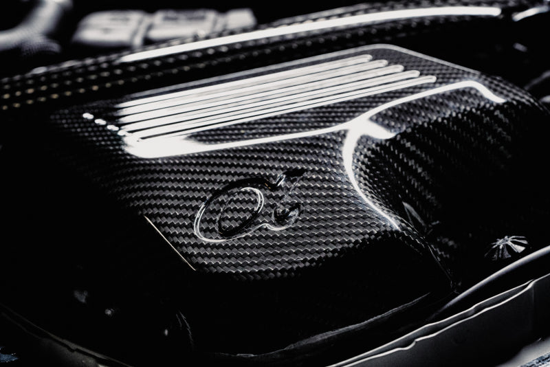 AMS Performance 15-18 BMW M3 / 15-20 BMW M4 w/ S55 3.0L Turbo Engine Carbon Fiber Intake Short Ram Air Intakes AMS