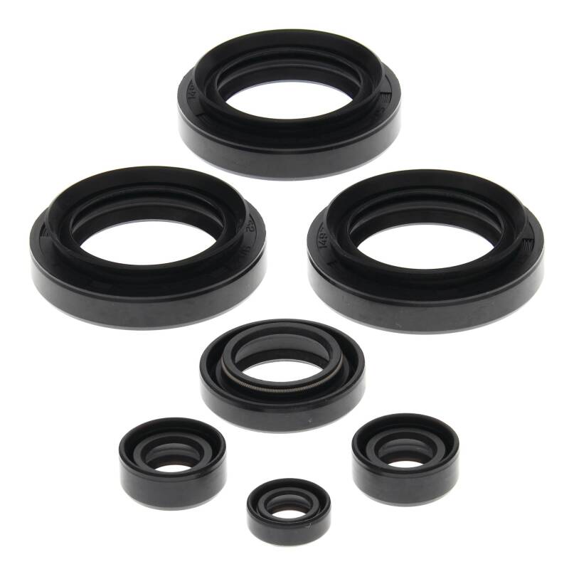 Vertex Gaskets 99-05 Arctic Cat 250 2x4 Oil Seal Kit Engine Hardware Vertex Pistons