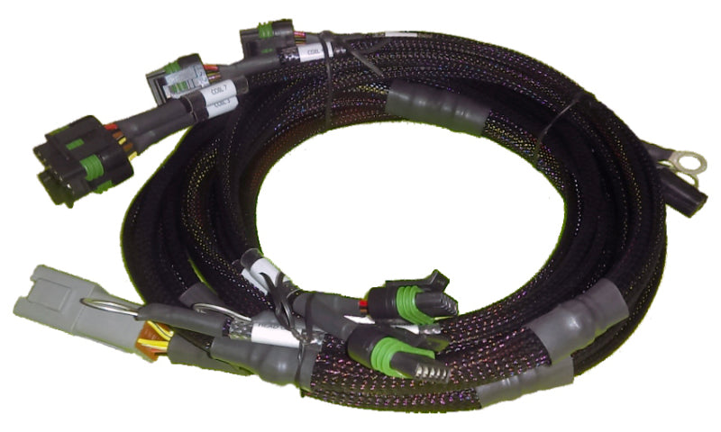 Haltech Big Block/Small Block Ford V8 8 Channel Individual High Output IGN-1A Inductive Coil Harness Wiring Harnesses Haltech