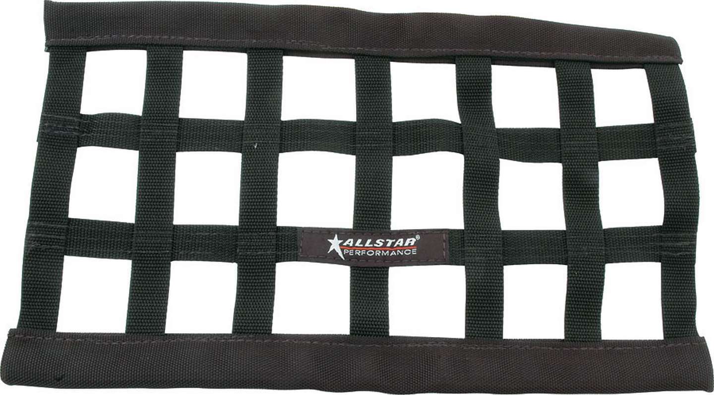 Low Profile Window Net 10 x 18 Window Nets Allstar Performance