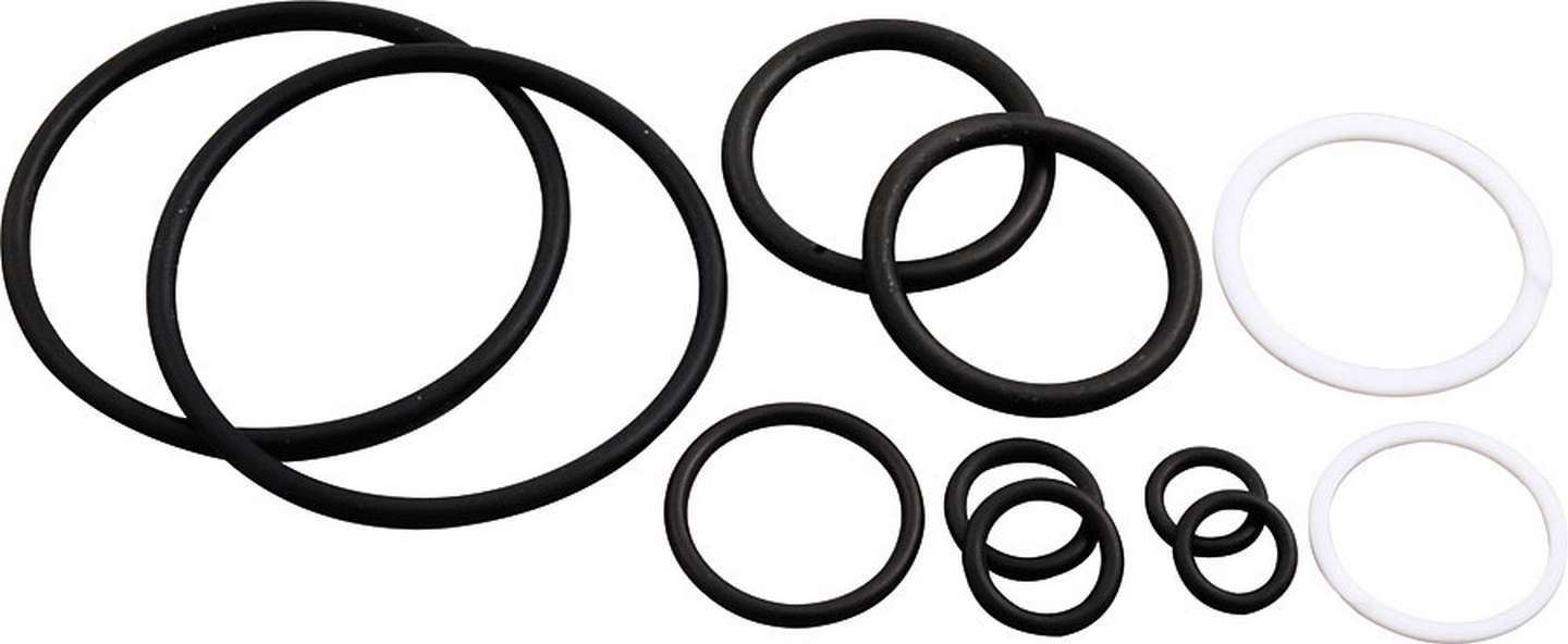 Jack Seal Kit O-rings Allstar Performance