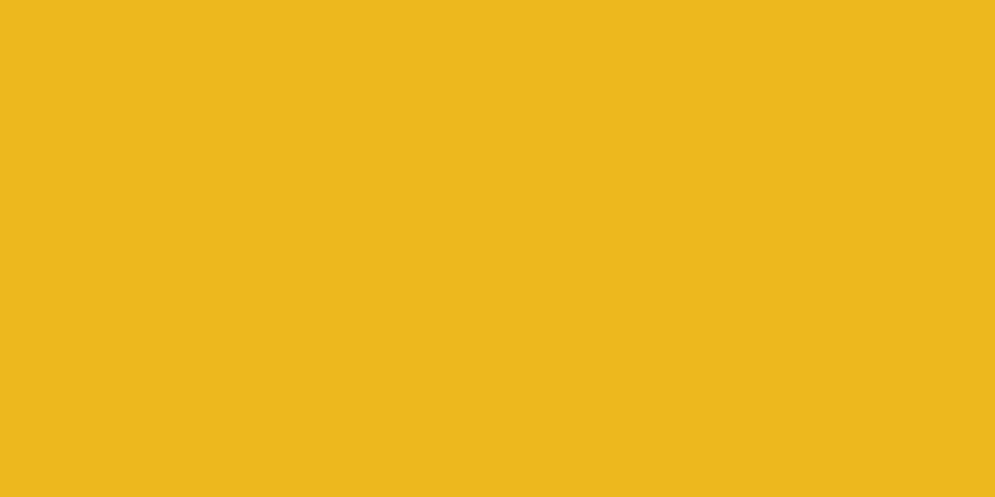 4x8 Plastic Yellow .100in Sheet Plastic Allstar Performance
