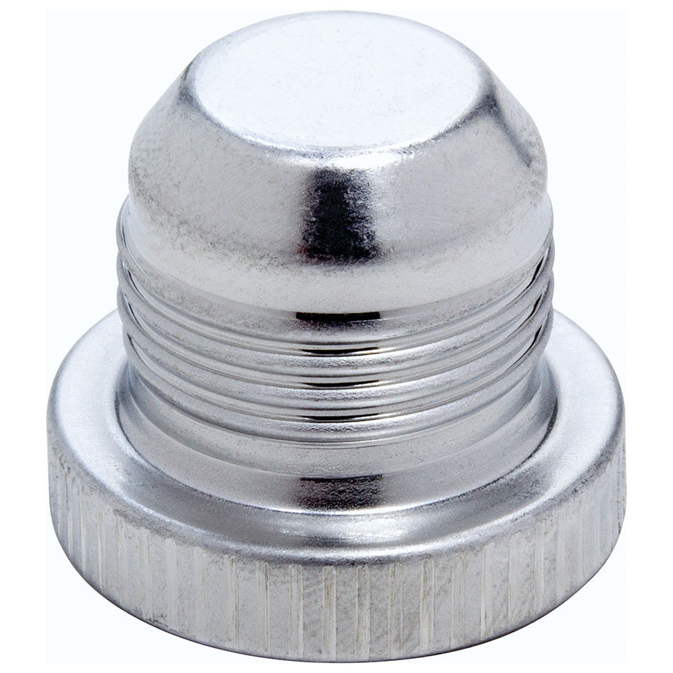 -10 Aluminum Plugs 10pk Cap and Plug Fittings Allstar Performance