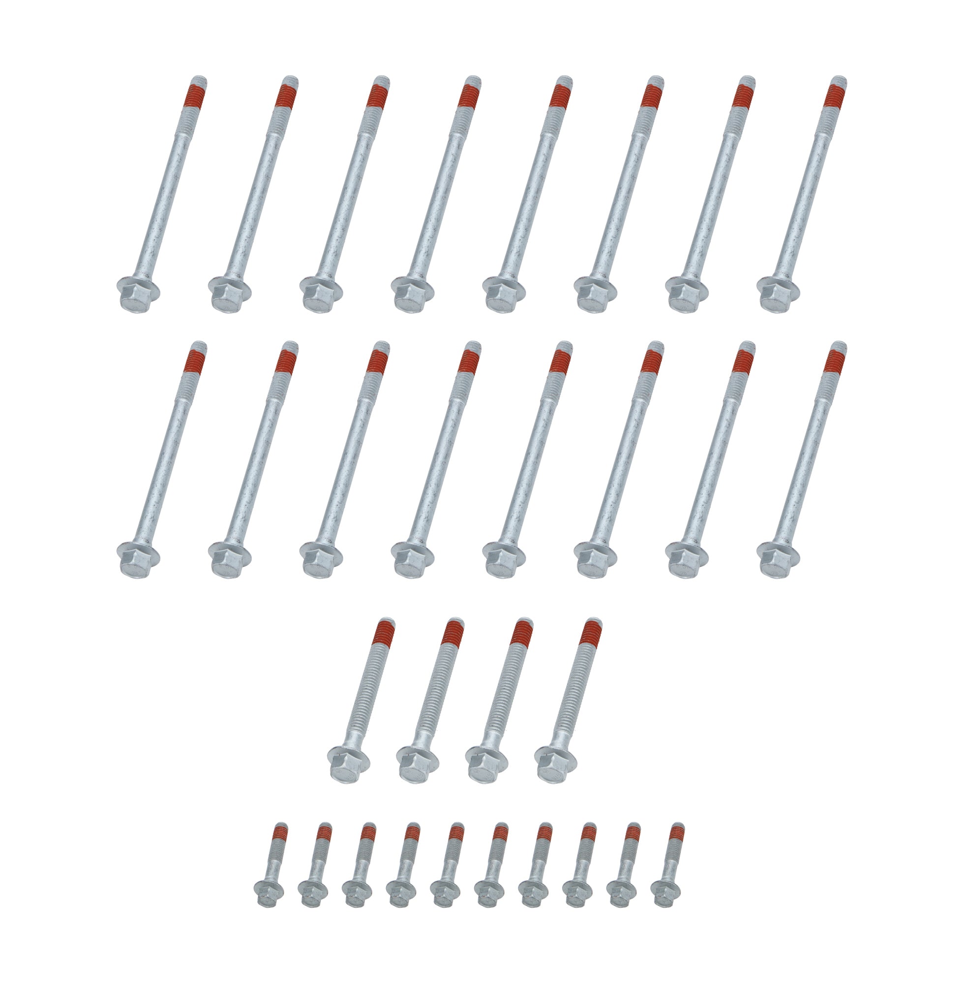 ALL87004.jpg