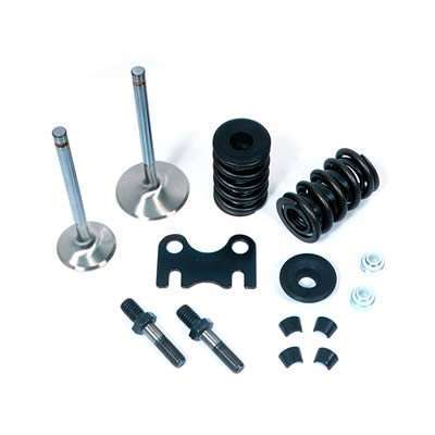 SBC Parts Kit - (1) Head 2.02/1.60 1.250 Spring Valve Springs Dart
