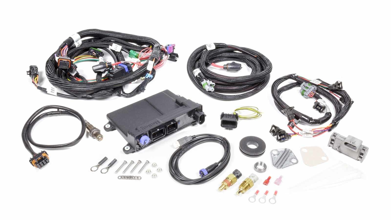 Ford MPFI HP ECU and Wire Harness Kit Computers and Components Holley EFI