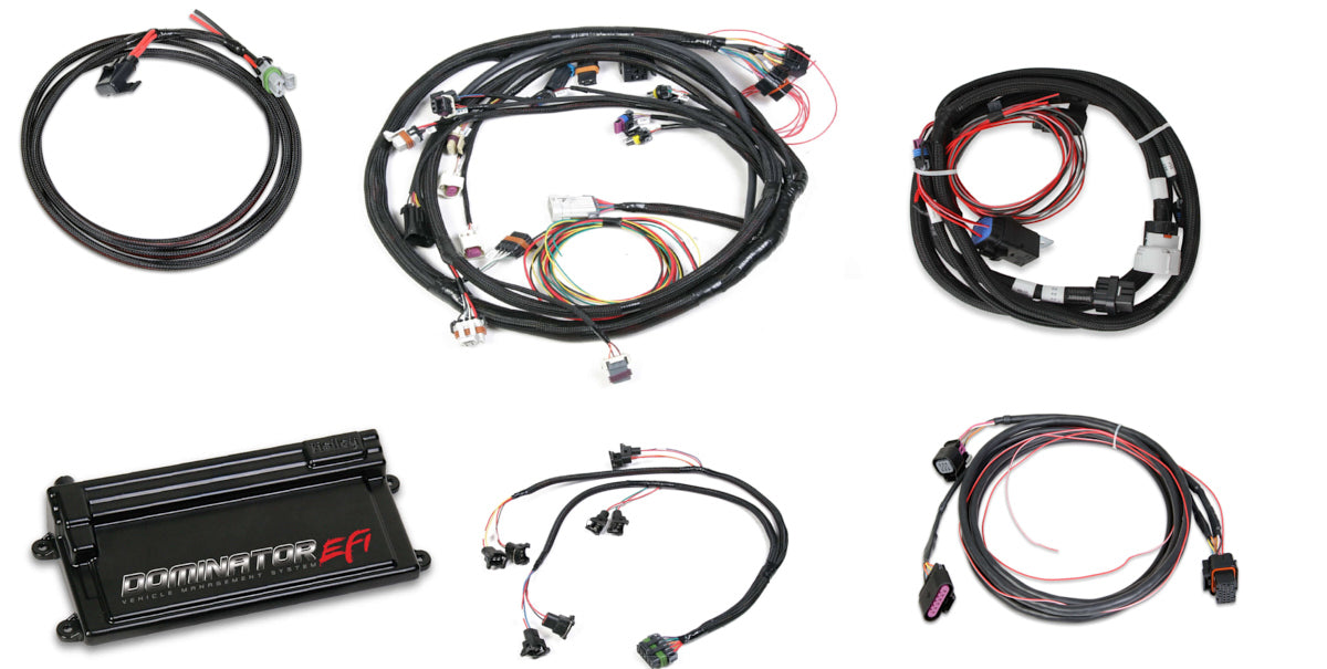 Dominator EFI Kit - LS2 w/Trans Contr & DBW Computers and Components Holley EFI