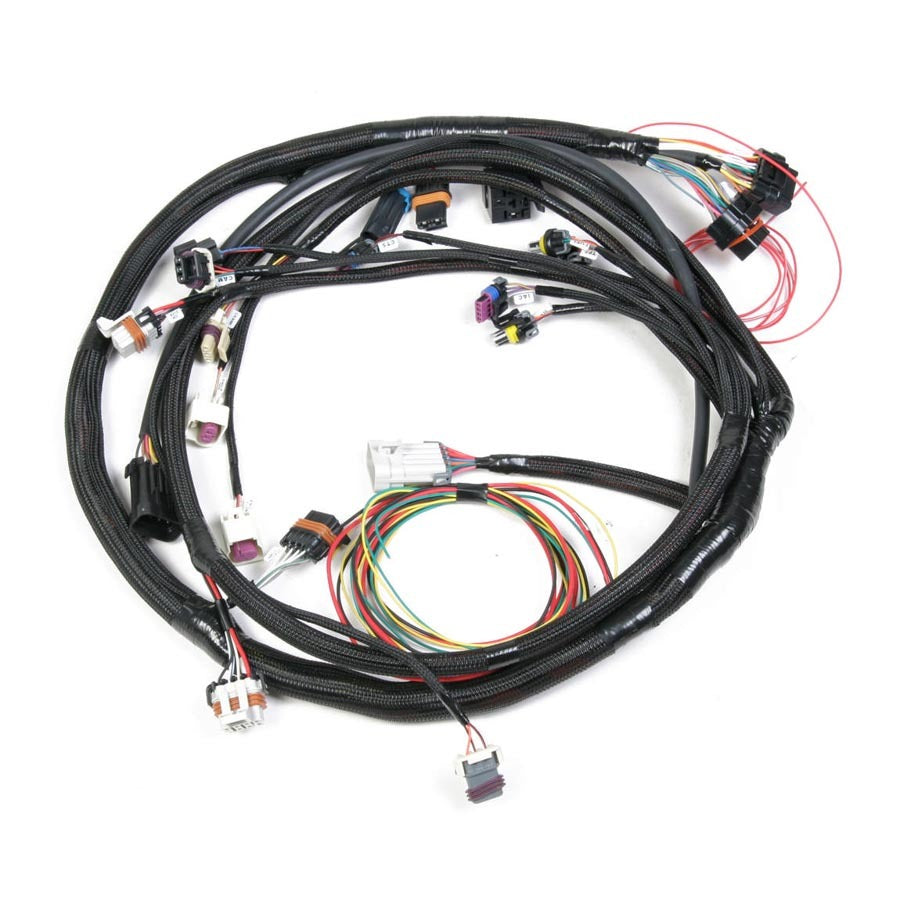 Main Wiring Harness LS2 & LS3 Engine Wiring Harnesses Holley
