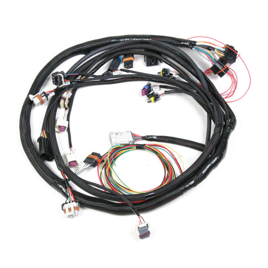 Main Harness - Universal MPFI Engine Wiring Harnesses Holley