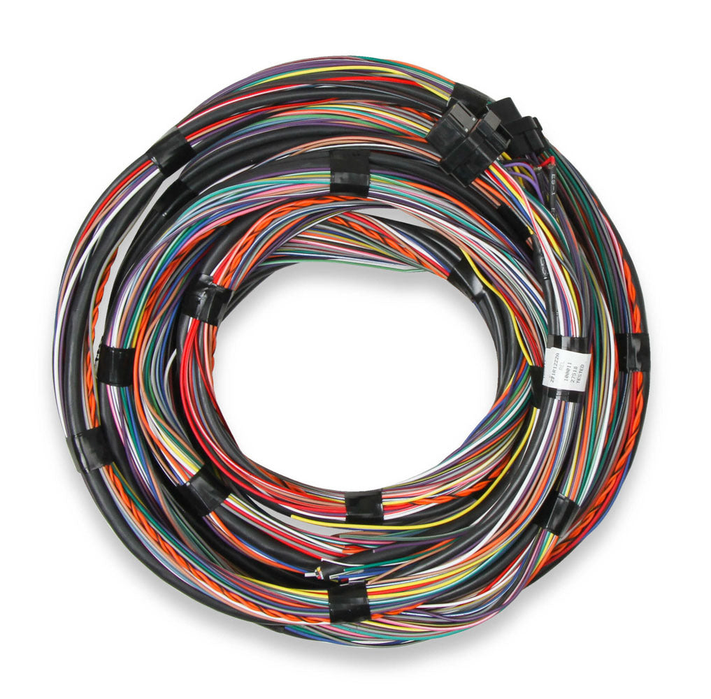 Flying Lead Main Harness Ignition Wiring Harnesses Holley