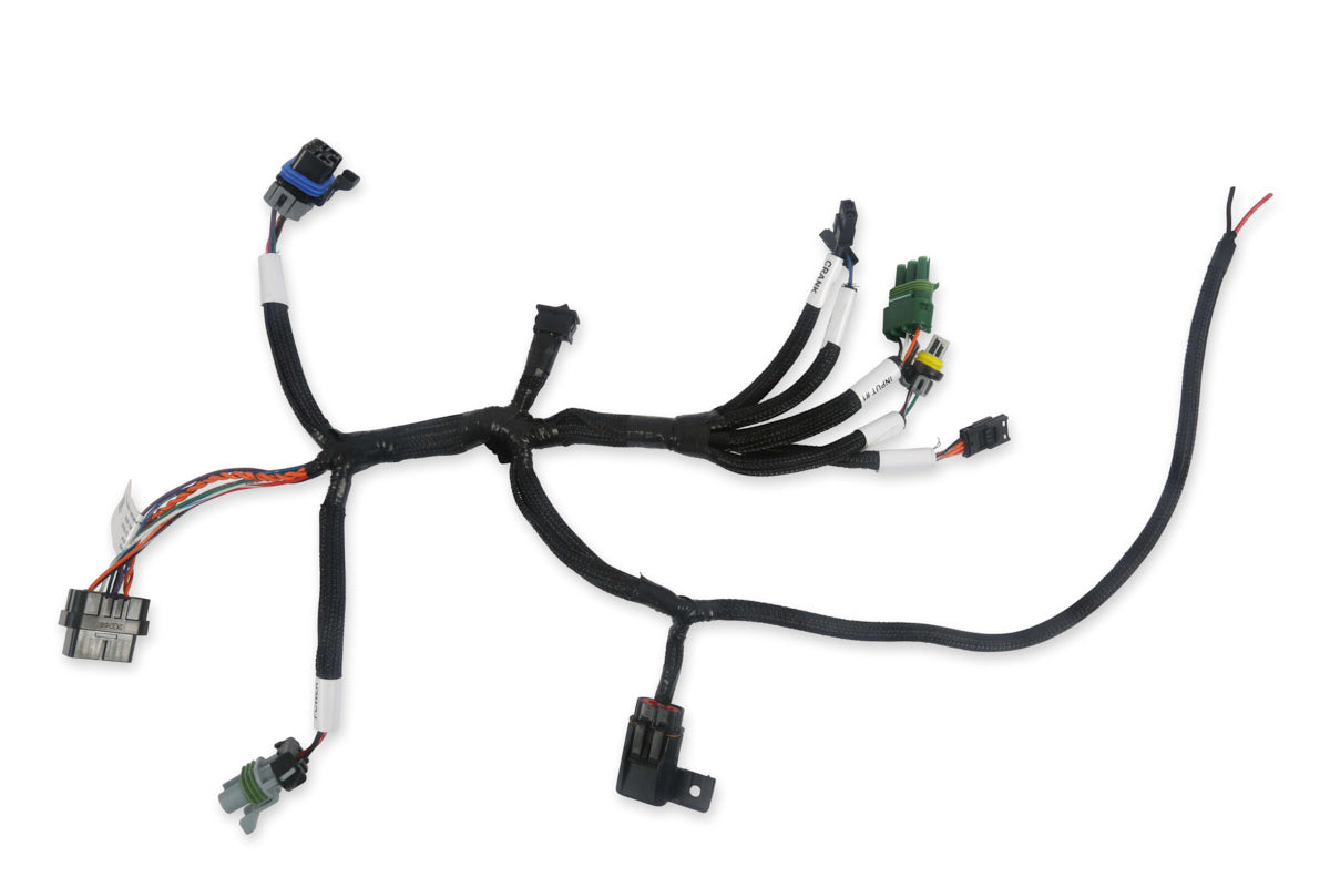 Bench-Top EFI Test Harness Engine Wiring Harnesses Holley EFI