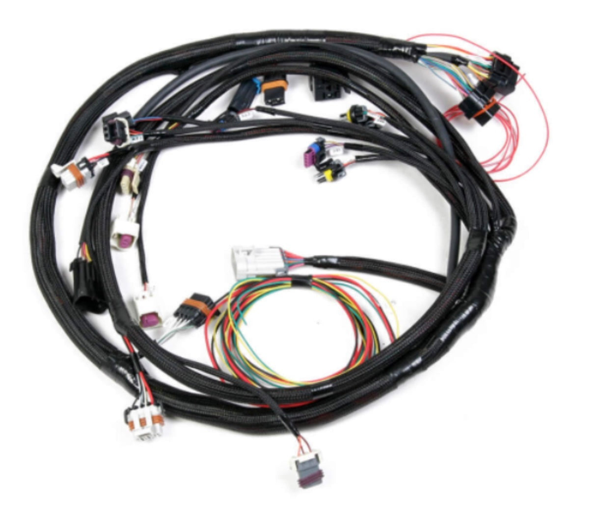 Engine Main Harness Ford 5.0L/5.8L Engine Wiring Harnesses Holley EFI