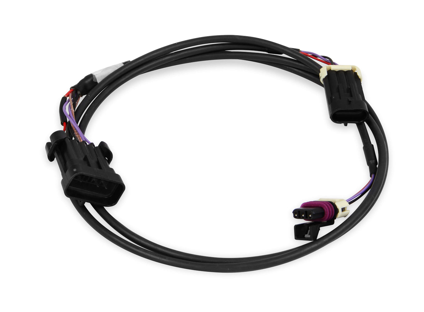 Crank/Cam Ignition Harness Engine Wiring Harnesses Holley