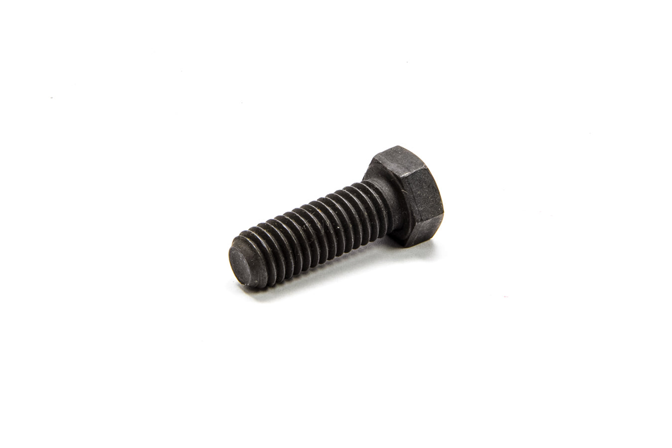 MOPP6030269.jpg
