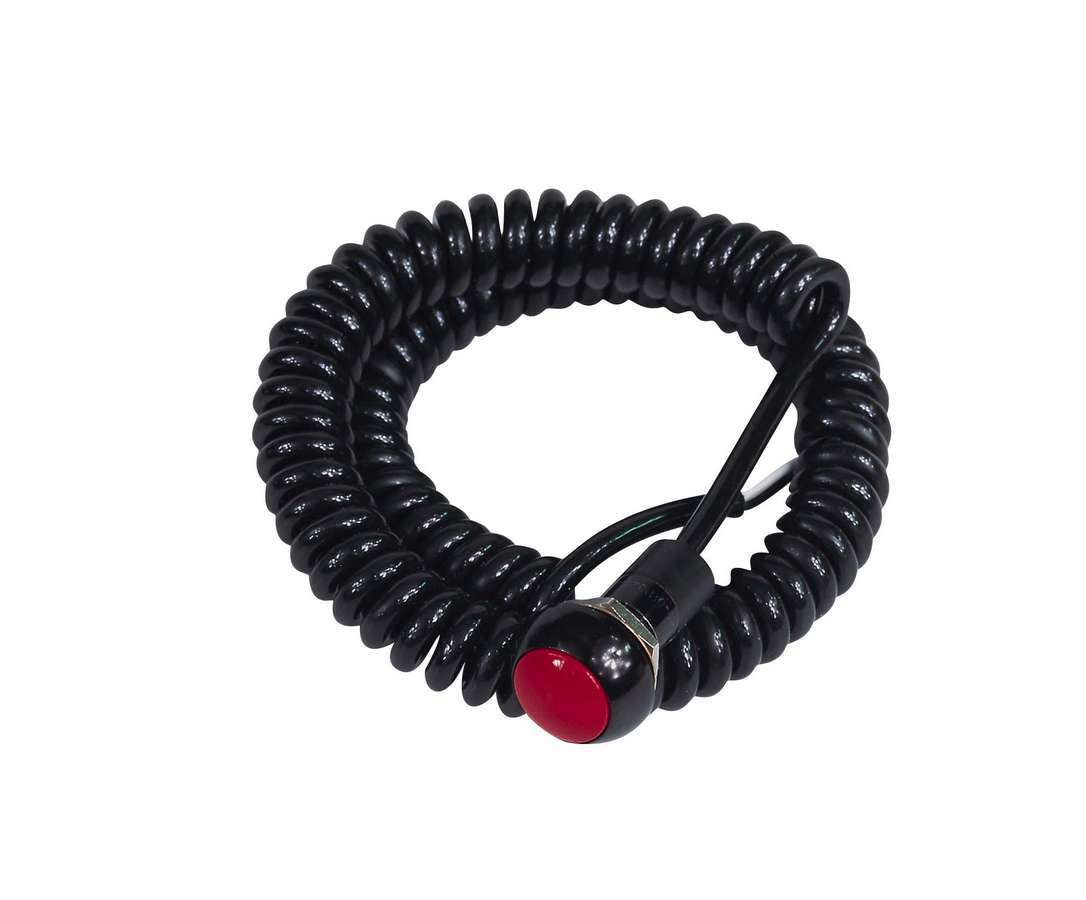 Alternate Action Switch Electrical Switches and Components MSD