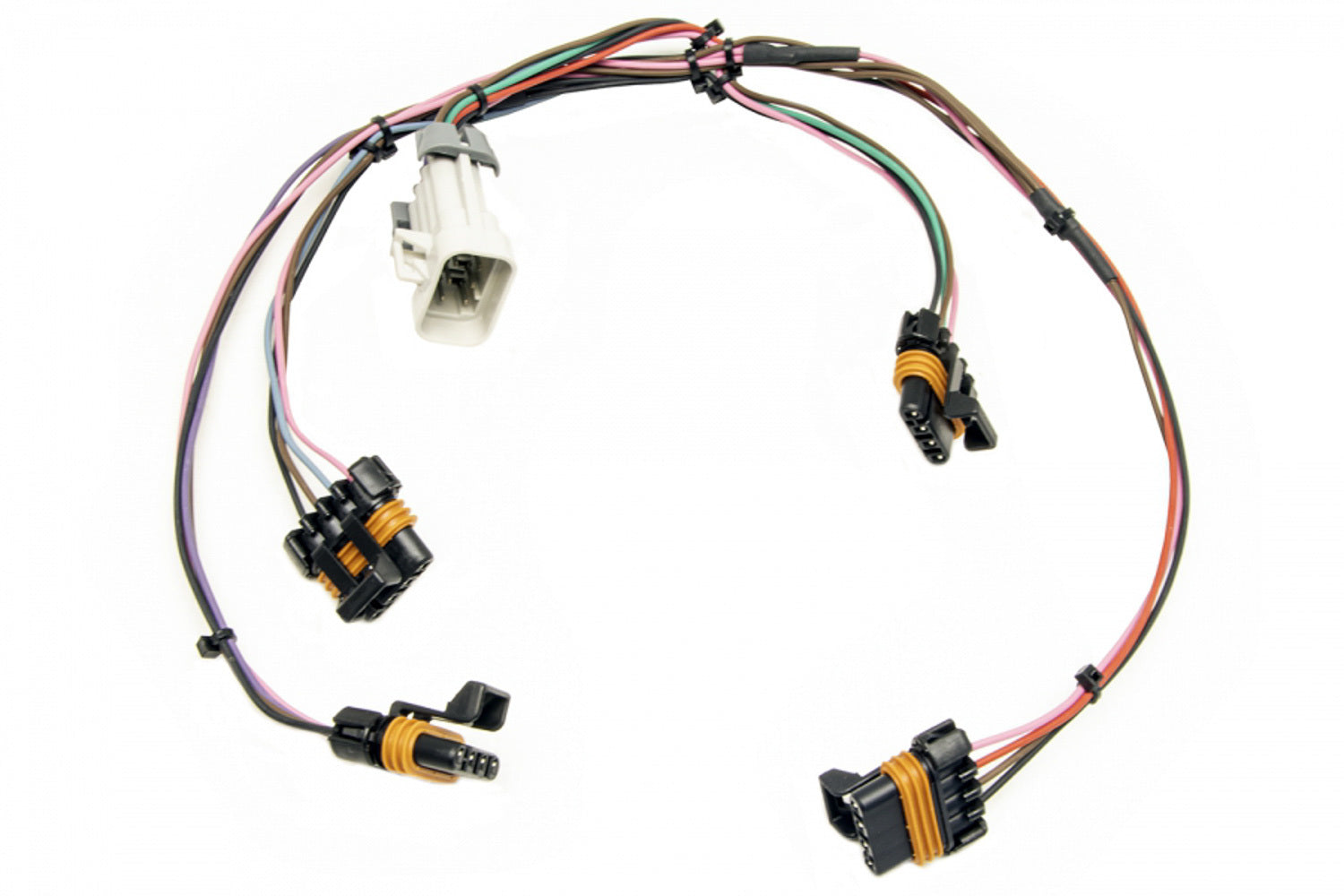 Ignition Harness 97-04 LS1 Engines Ignition Wiring Harnesses Painless Wiring