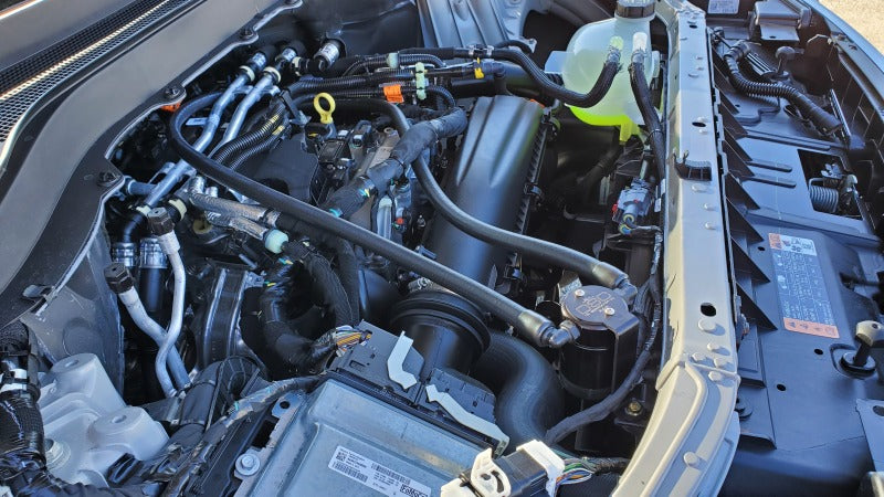 J&L 2025 Ford Explorer 2.3L EcoBoost 3.0 PVC Side Oil Separator - Black Anodized Oil Separators J&L